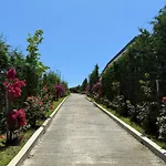 Top Villas Durres